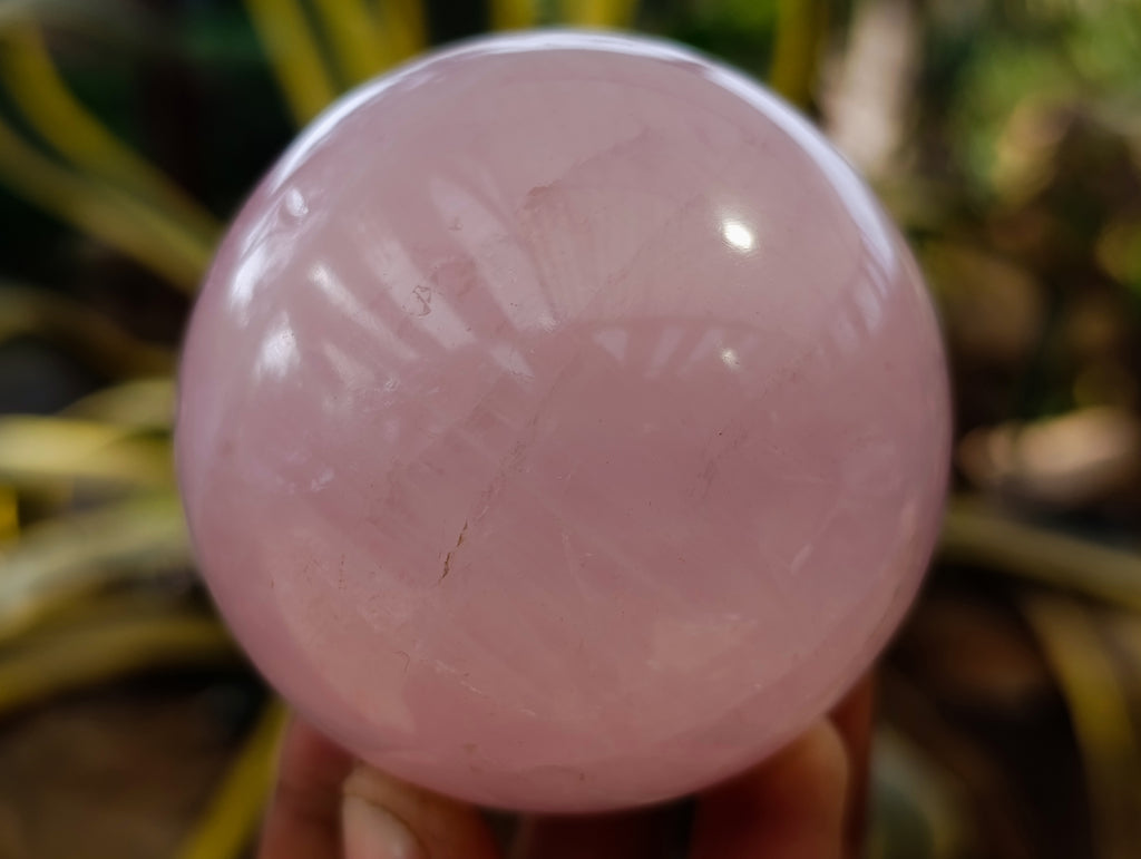 Polished Star Rose Quartz Spheres x 4 From Ambatondrazaka, Madagascar - Toprock Gemstones and Minerals 