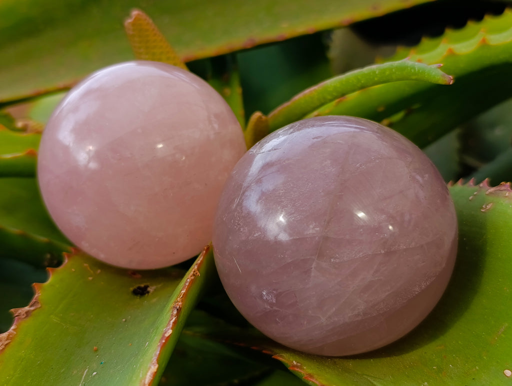 Polished Star Rose Quartz Spheres x 4 From Ambatondrazaka, Madagascar - Toprock Gemstones and Minerals 