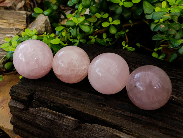 Polished Star Rose Quartz Spheres x 4 From Ambatondrazaka, Madagascar - Toprock Gemstones and Minerals 