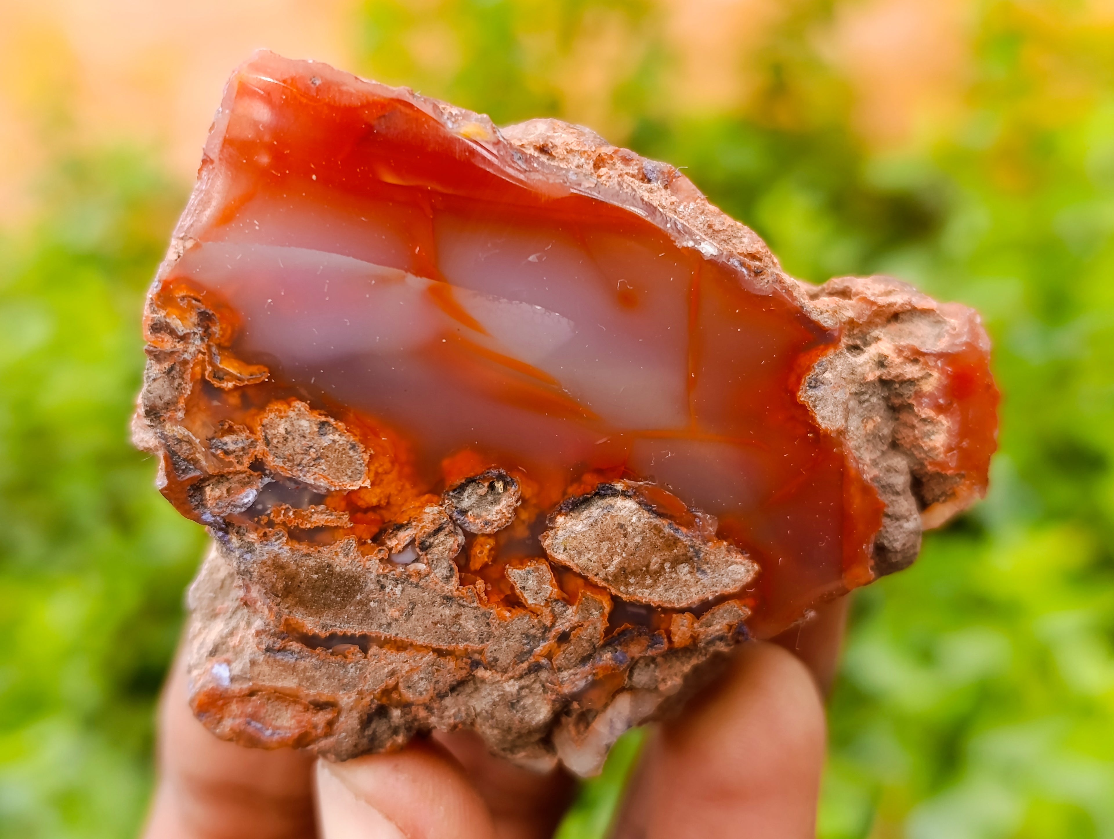 Polished On One Side Red Sashe River Agate Nodules x 24 From Zimbabwe - Toprock Gemstones and Minerals 