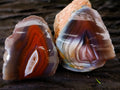 Polished On One Side Red Sashe River Agate Nodules x 24 From Zimbabwe - Toprock Gemstones and Minerals 