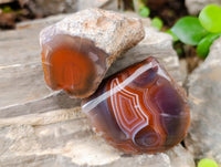 Polished On One Side Red Sashe River Agate Nodules x 24 From Zimbabwe
