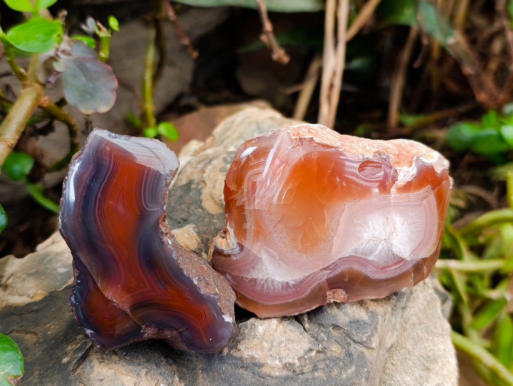Polished On One Side Red Sashe River Agate Nodules x 24 From Zimbabwe - Toprock Gemstones and Minerals 