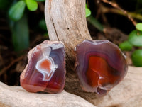 Polished On One Side Red Sashe River Agate Nodules x 24 From Zimbabwe
