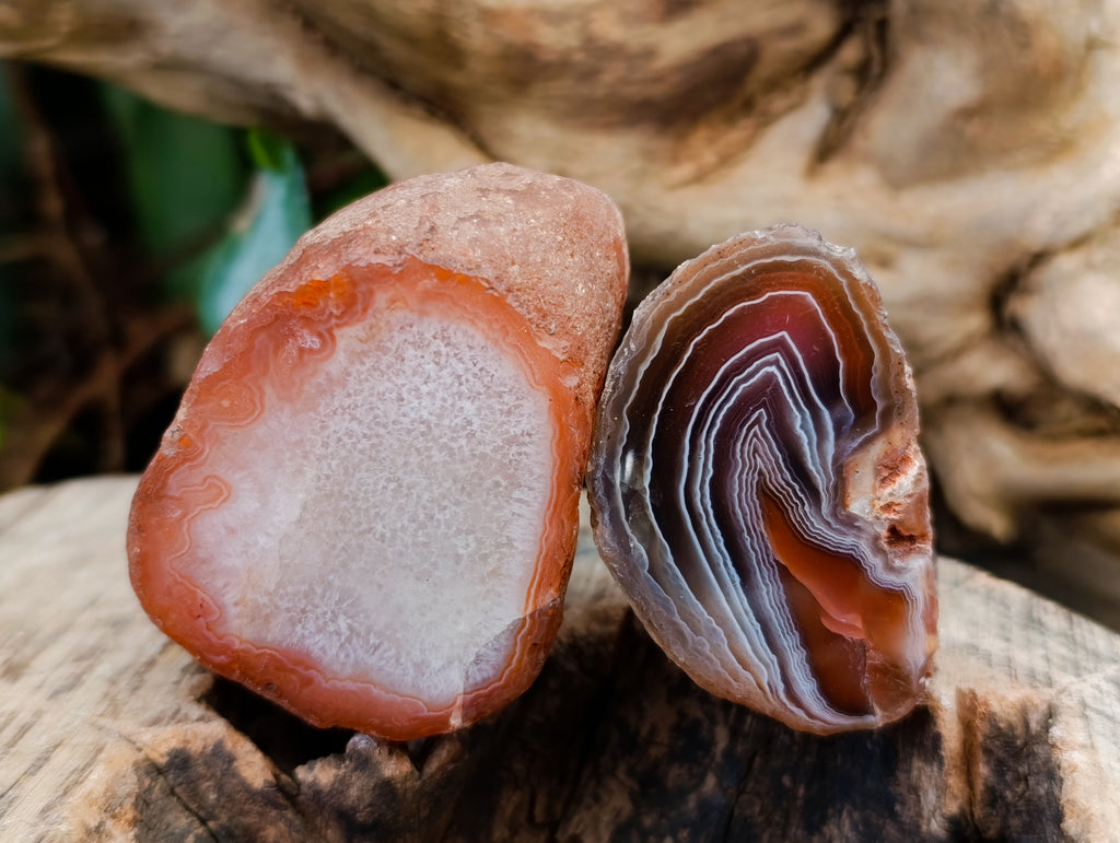 Polished On One Side Red Sashe River Agate Nodules x 24 From Zimbabwe - Toprock Gemstones and Minerals 