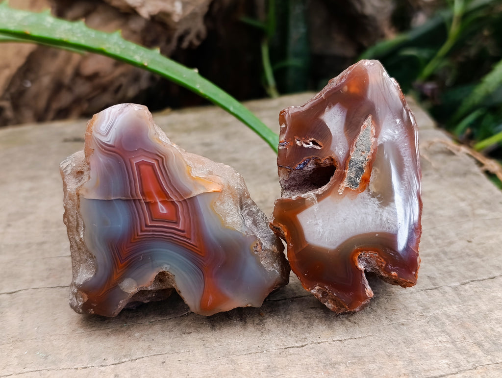 Polished On One Side Red Sashe River Agate Nodules x 24 From Zimbabwe - Toprock Gemstones and Minerals 