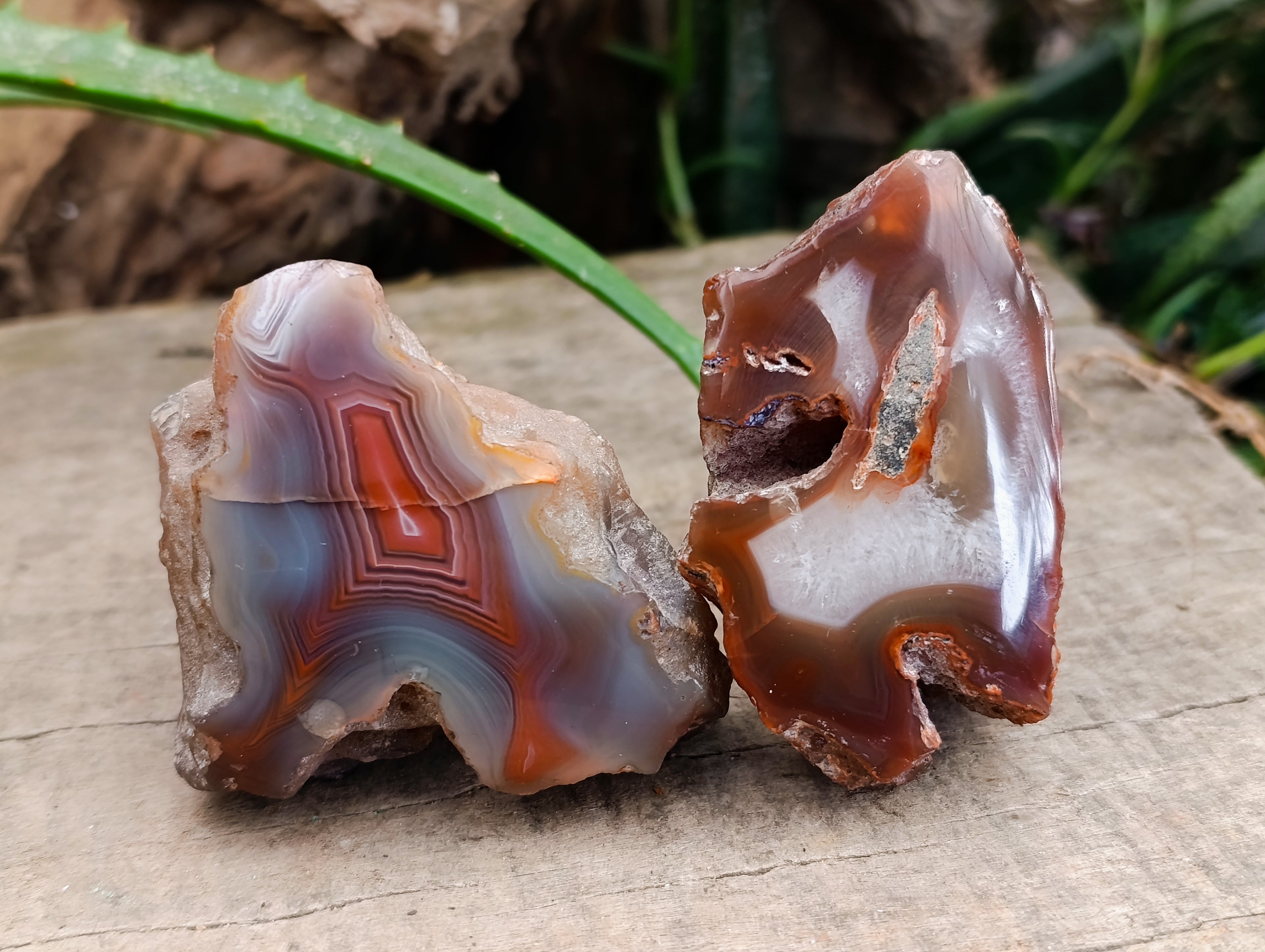 Polished On One Side Red Sashe River Agate Nodules x 24 From Zimbabwe - Toprock Gemstones and Minerals 