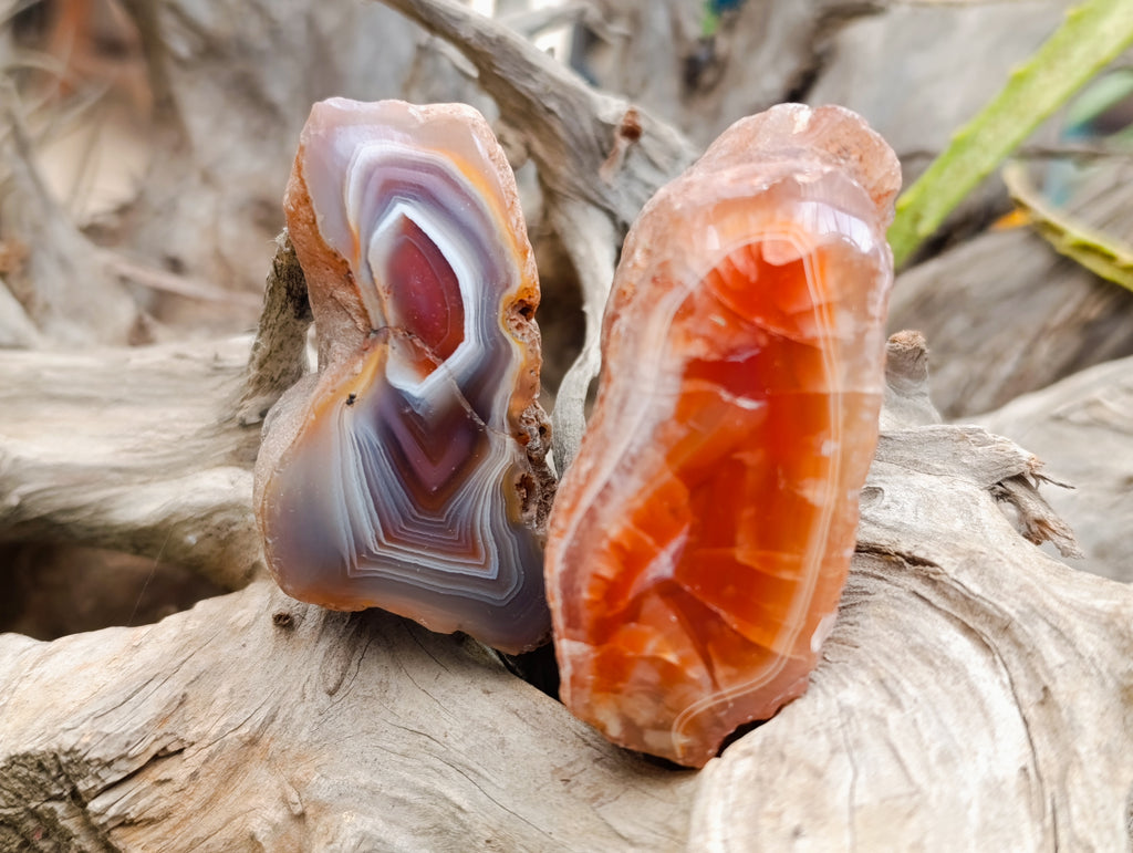 Polished On One Side Red Sashe River Agate Nodules x 24 From Zimbabwe - Toprock Gemstones and Minerals 