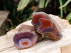 Polished On One Side Red Sashe River Agate Nodules x 24 From Zimbabwe - Toprock Gemstones and Minerals 