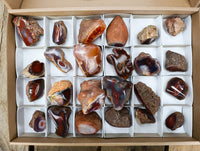 Polished On One Side Red Sashe River Agate Nodules x 24 From Zimbabwe