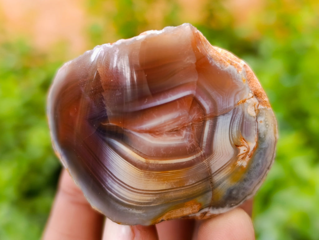 Polished On One Side Red Sashe River Agate Nodules x 24 From Zimbabwe - Toprock Gemstones and Minerals 