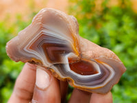 Polished On One Side Red Sashe River Agate Nodules x 24 From Zimbabwe