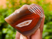 Polished On One Side Red Sashe River Agate Nodules x 24 From Zimbabwe