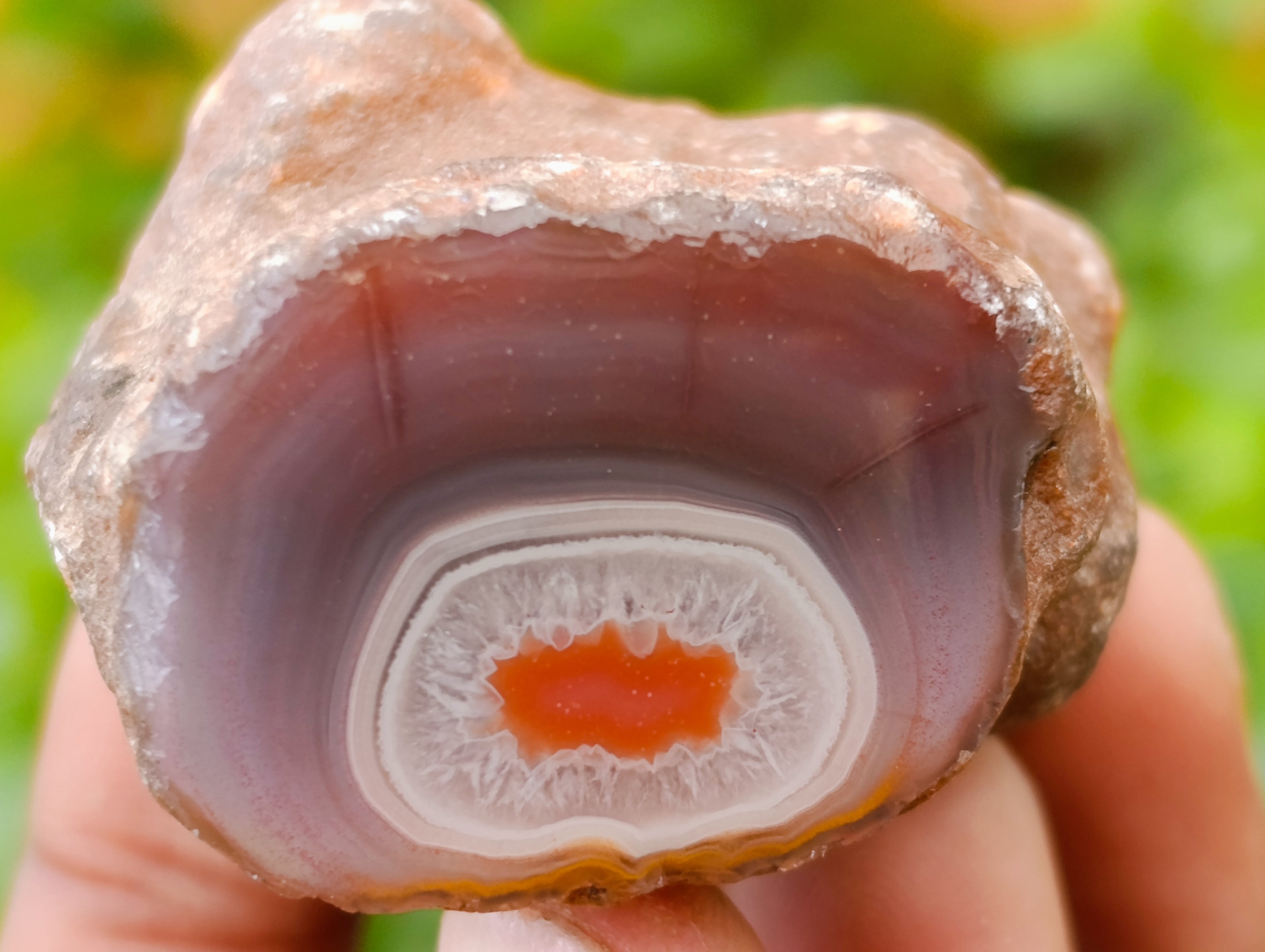 Polished On One Side Red Sashe River Agate Nodules x 24 From Zimbabwe - Toprock Gemstones and Minerals 