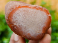 Polished On One Side Red Sashe River Agate Nodules x 24 From Zimbabwe