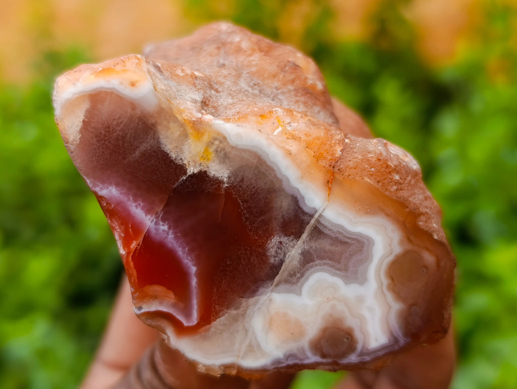 Polished On One Side Red Sashe River Agate Nodules x 24 From Zimbabwe - Toprock Gemstones and Minerals 