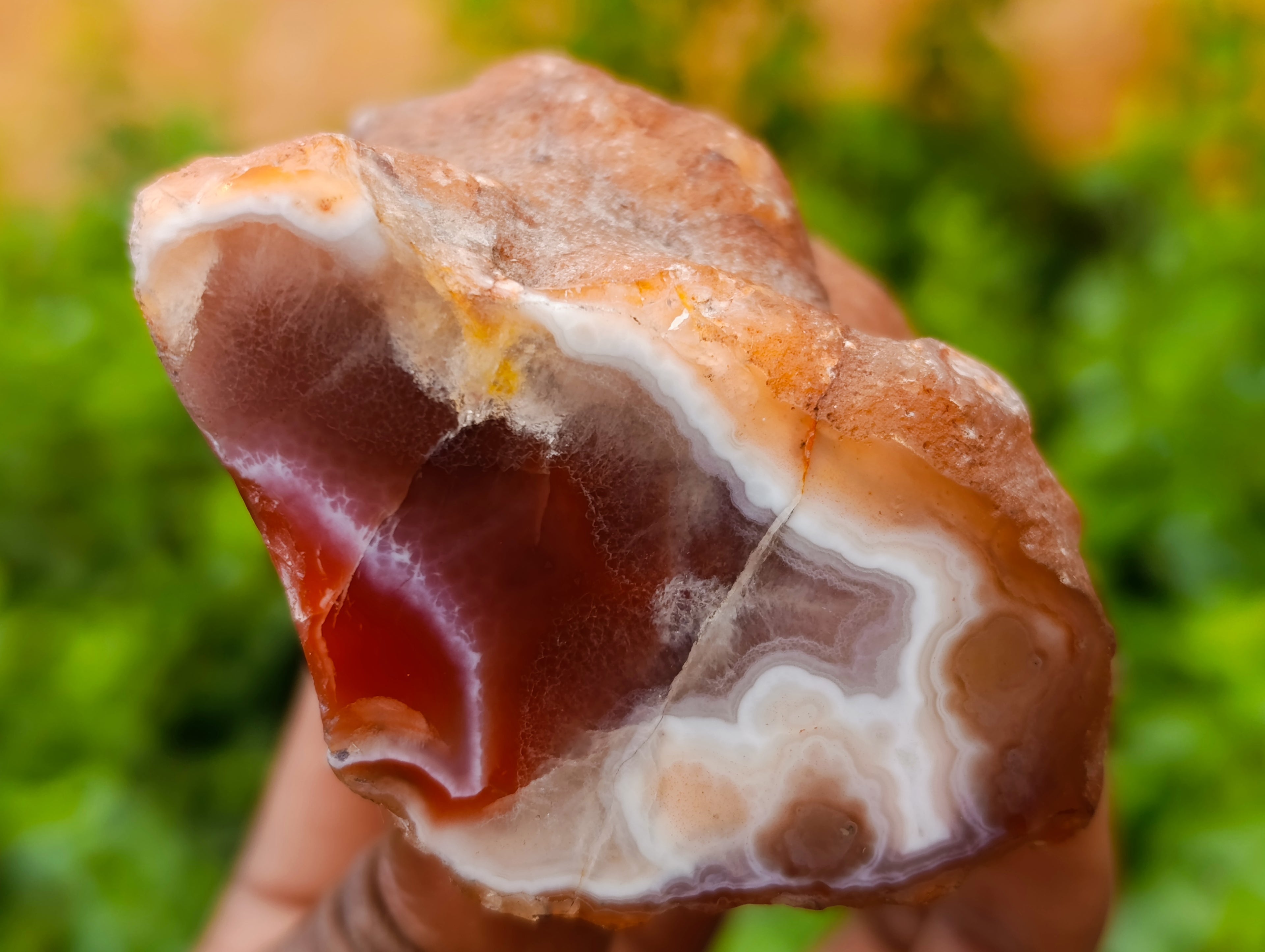 Polished On One Side Red Sashe River Agate Nodules x 24 From Zimbabwe - Toprock Gemstones and Minerals 