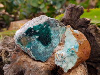 Natural Drusy Coated Chrysocolla with Malachite x 6 From Lupoto Mine, Congo - Toprock Gemstones and Minerals 