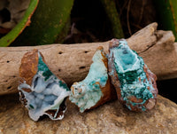 Natural Drusy Coated Chrysocolla with Malachite x 6 From Lupoto Mine, Congo - Toprock Gemstones and Minerals 