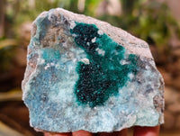 Natural Drusy Coated Chrysocolla with Malachite x 6 From Lupoto Mine, Congo - Toprock Gemstones and Minerals 