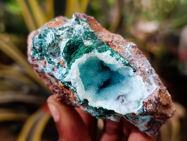 Natural Drusy Coated Chrysocolla with Malachite x 6 From Lupoto Mine, Congo - Toprock Gemstones and Minerals 