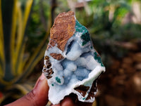 Natural Drusy Coated Chrysocolla with Malachite x 6 From Lupoto Mine, Congo - Toprock Gemstones and Minerals 