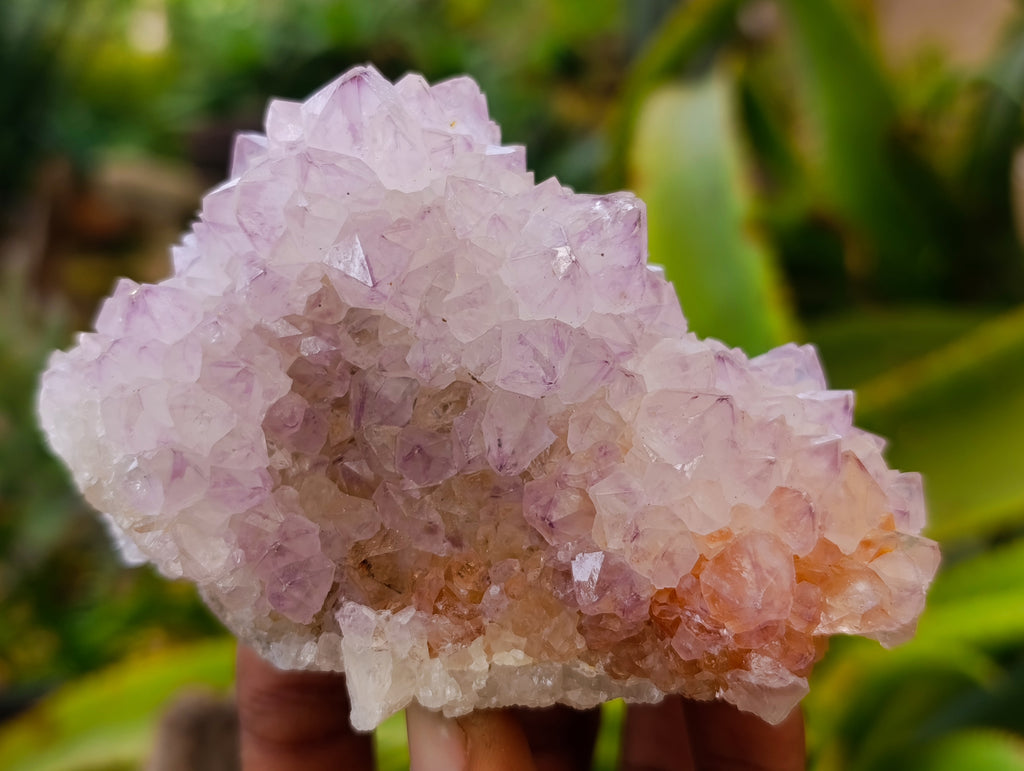 Natural Amethyst Spirit Quartz Clusters x 3 From Boekenhouthoek, South Africa - Toprock Gemstones and Minerals 