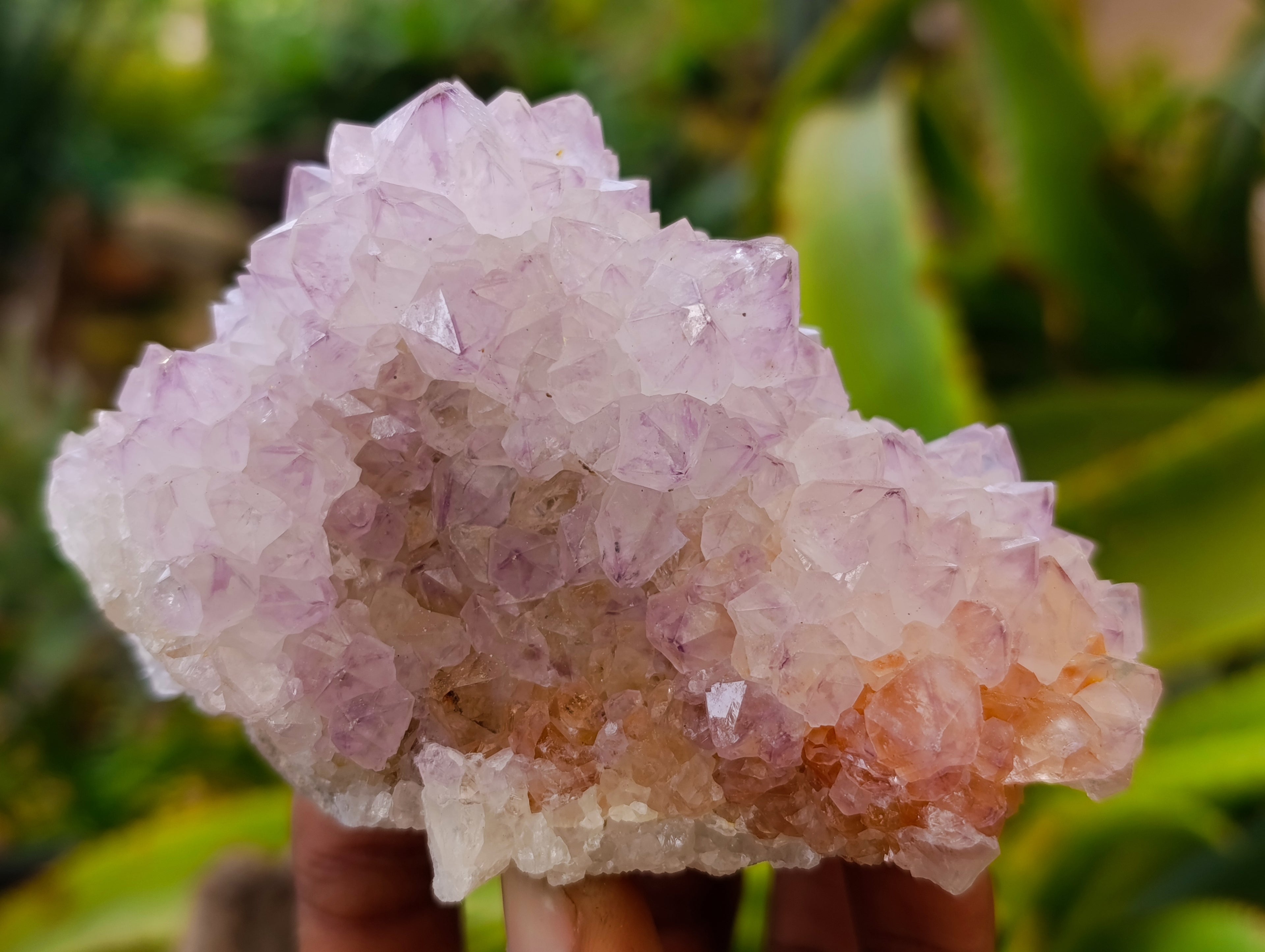 Natural Amethyst Spirit Quartz Clusters x 3 From Boekenhouthoek, South Africa - Toprock Gemstones and Minerals 