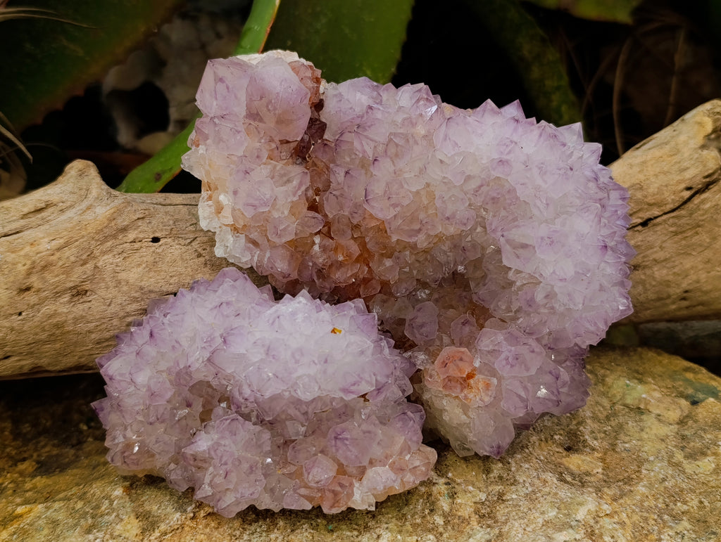 Natural Amethyst Spirit Quartz Clusters x 3 From Boekenhouthoek, South Africa - Toprock Gemstones and Minerals 