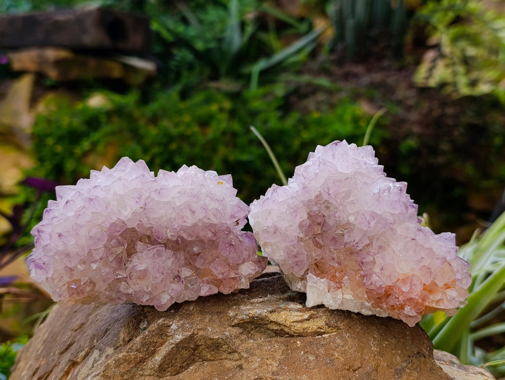Natural Amethyst Spirit Quartz Clusters x 3 From Boekenhouthoek, South Africa - Toprock Gemstones and Minerals 