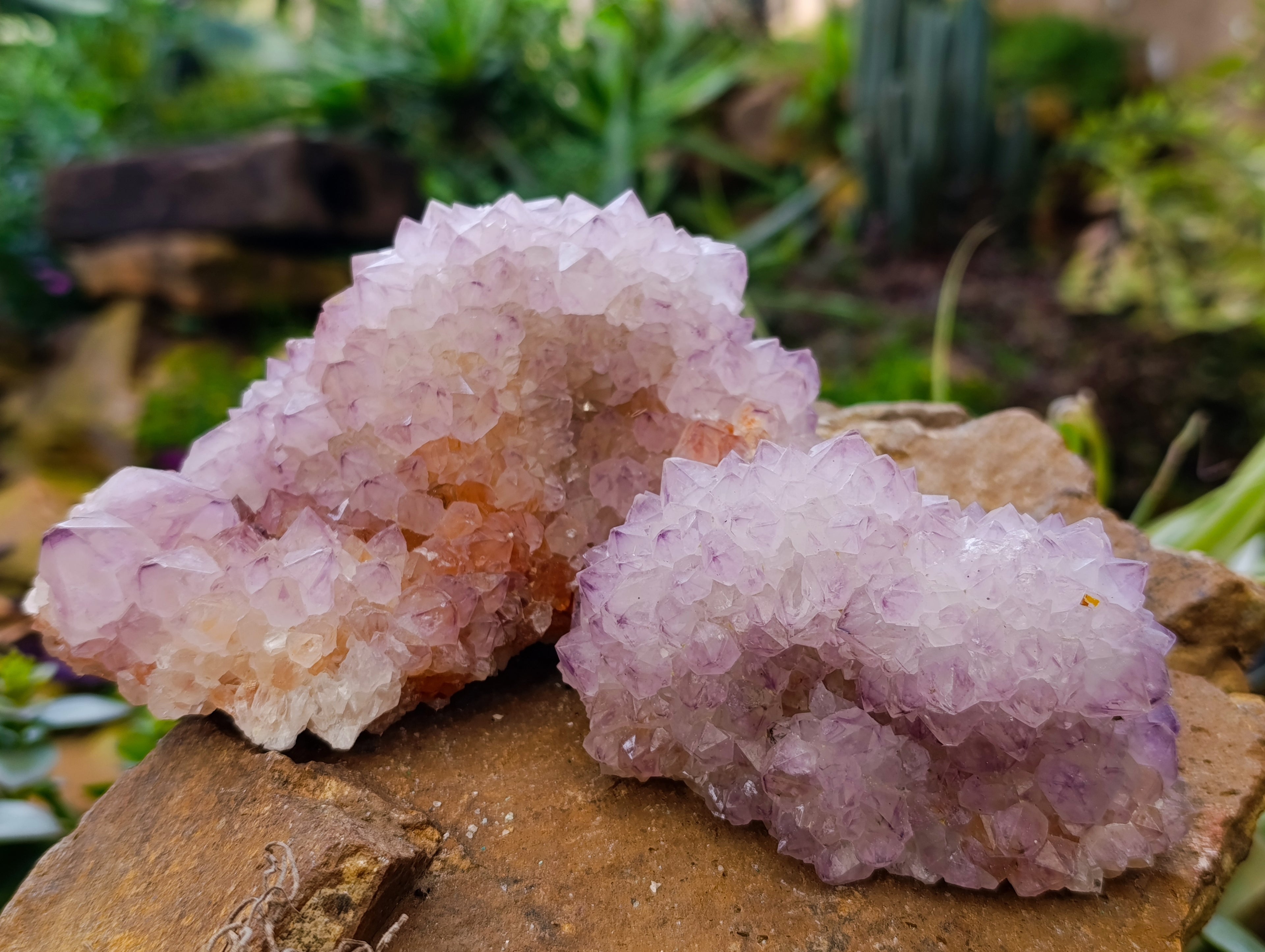 Natural Amethyst Spirit Quartz Clusters x 3 From Boekenhouthoek, South Africa - Toprock Gemstones and Minerals 