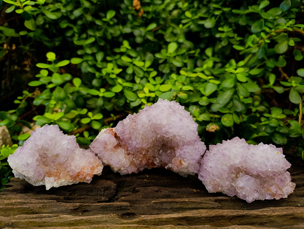 Natural Amethyst Spirit Quartz Clusters x 3 From Boekenhouthoek, South Africa - Toprock Gemstones and Minerals 