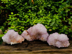 Natural Amethyst Spirit Quartz Clusters x 3 From Boekenhouthoek, South Africa - Toprock Gemstones and Minerals 