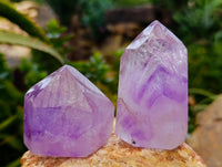 Polished Smokey Amethyst Window Quartz Crystals x 6 From Akansobe, Madagascar