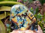 Polished Labradorite Standing Free Forms x 2 From Tulear, Madagascar - Toprock Gemstones and Minerals 