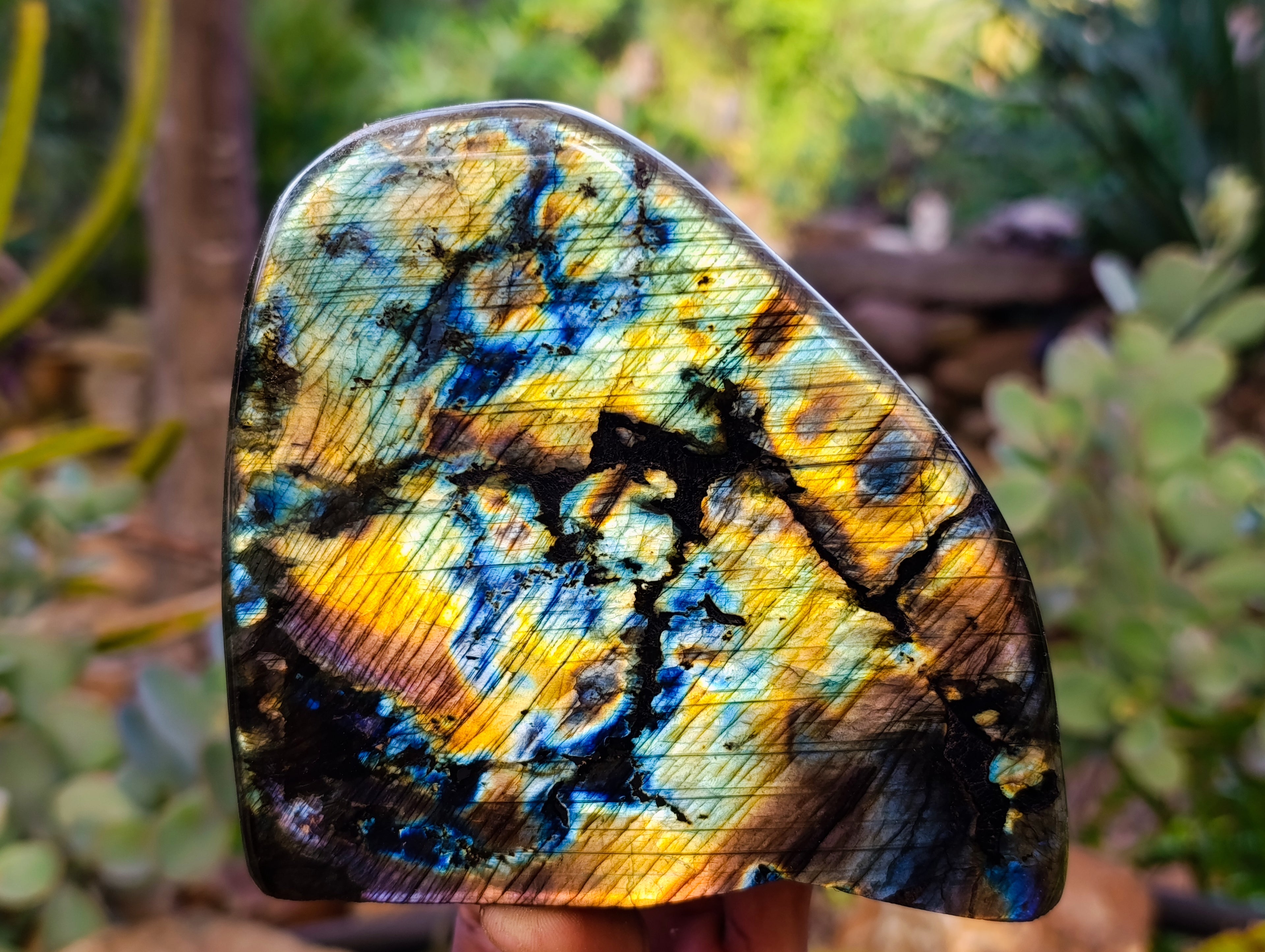 Polished Labradorite Standing Free Forms x 2 From Tulear, Madagascar - Toprock Gemstones and Minerals 