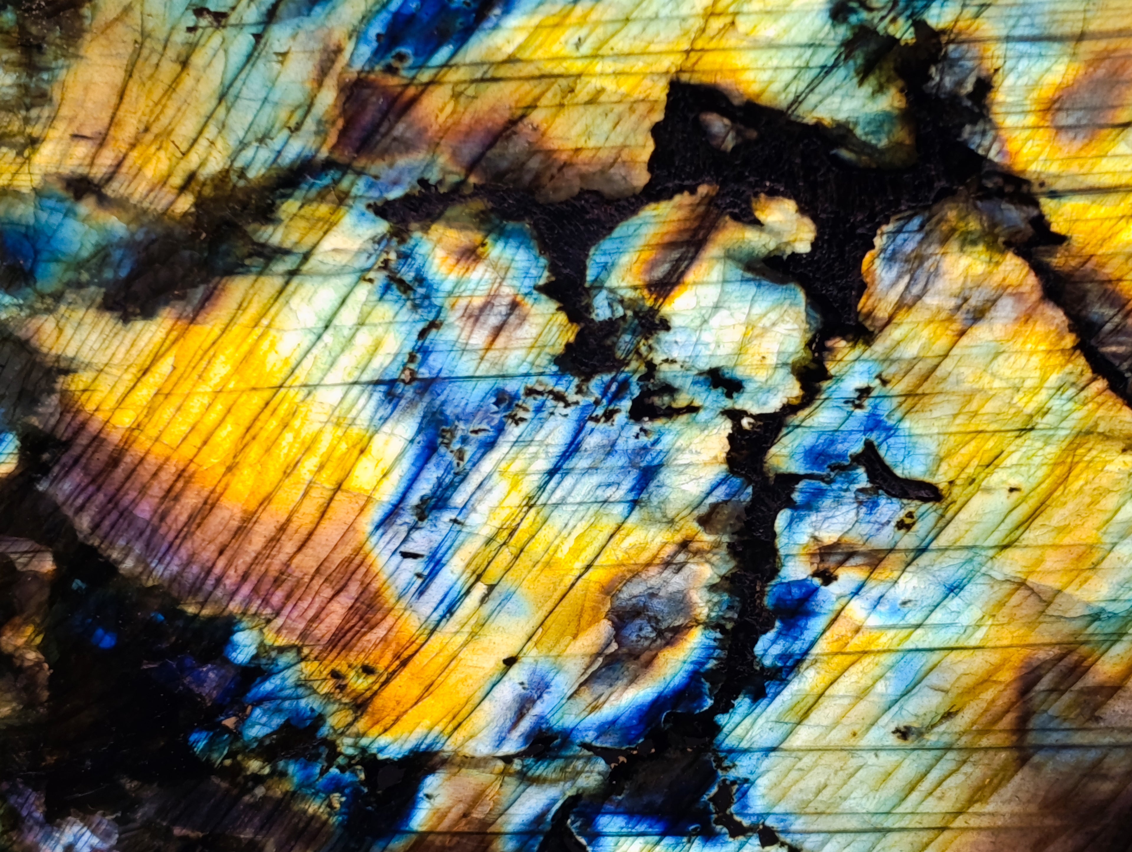 Polished Labradorite Standing Free Forms x 2 From Tulear, Madagascar - Toprock Gemstones and Minerals 