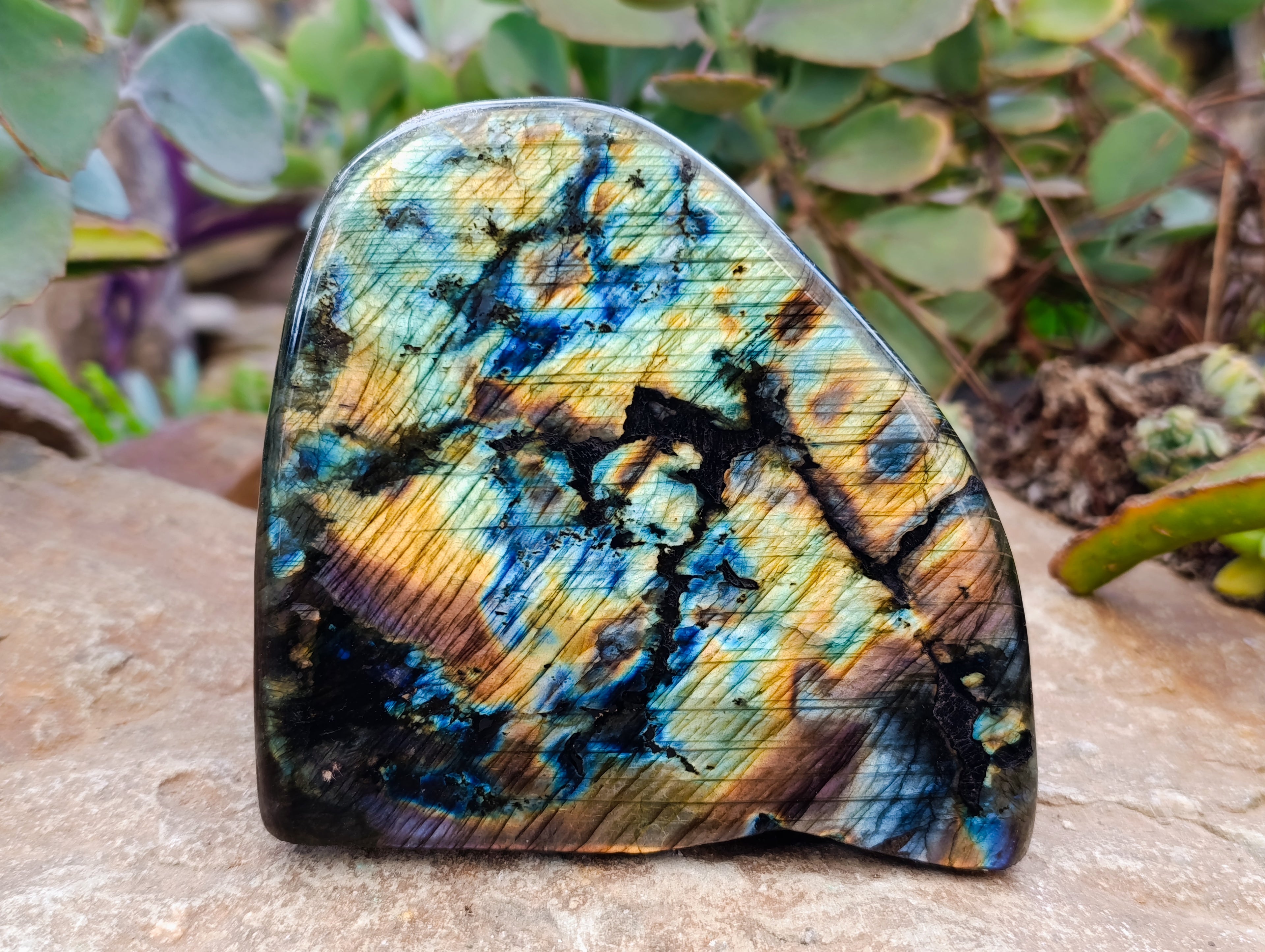 Polished Labradorite Standing Free Forms x 2 From Tulear, Madagascar - Toprock Gemstones and Minerals 
