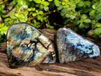 Polished Labradorite Standing Free Forms x 2 From Tulear, Madagascar - Toprock Gemstones and Minerals 