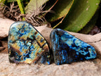 Polished Labradorite Standing Free Forms x 2 From Tulear, Madagascar - Toprock Gemstones and Minerals 
