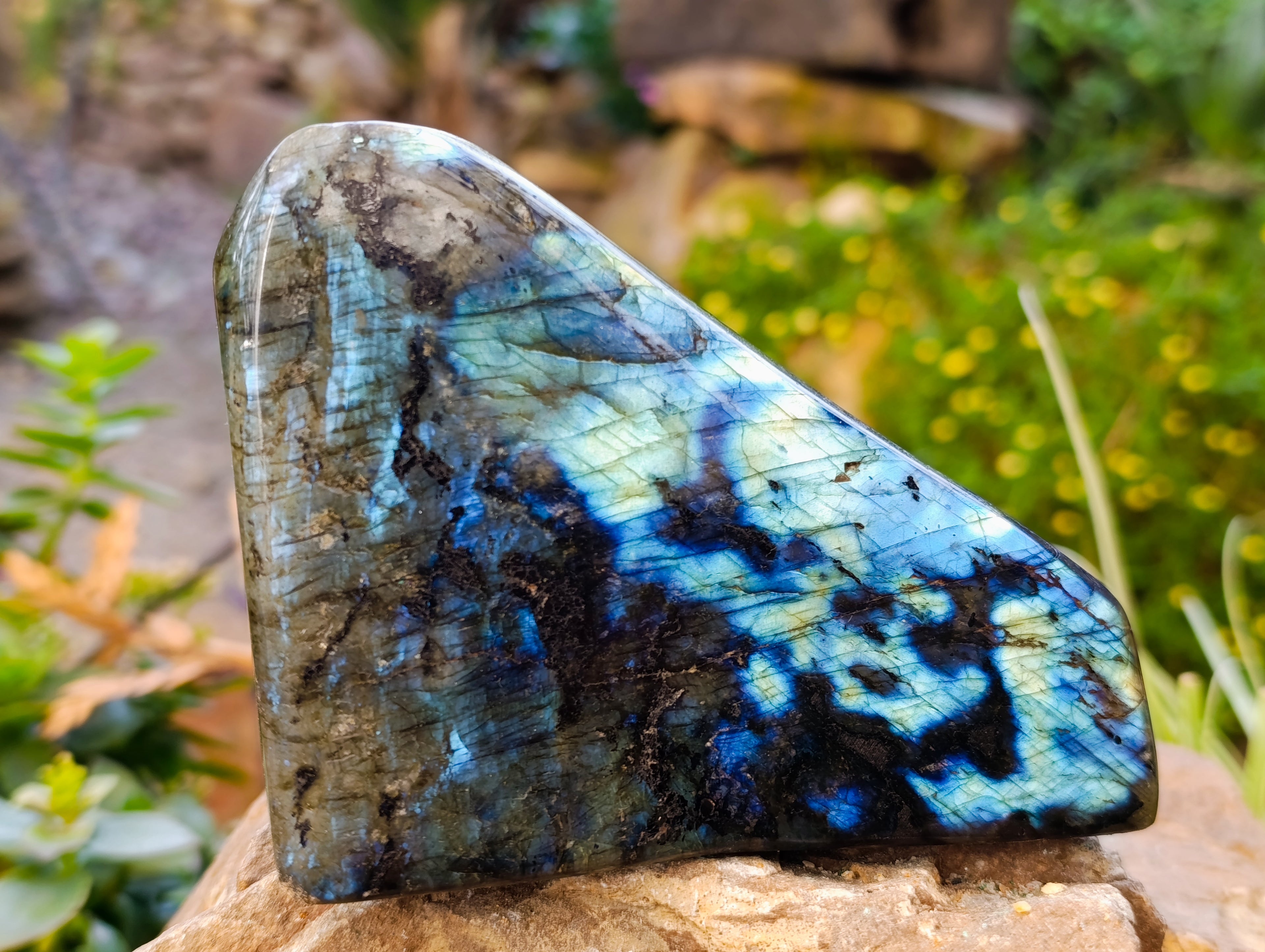 Polished Labradorite Standing Free Forms x 2 From Tulear, Madagascar - Toprock Gemstones and Minerals 