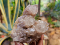 Natural Phantom Smokey Quartz Clusters x 4 From Luena, Congo