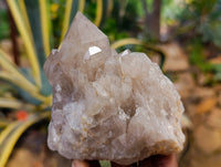 Natural Phantom Smokey Quartz Clusters x 4 From Luena, Congo