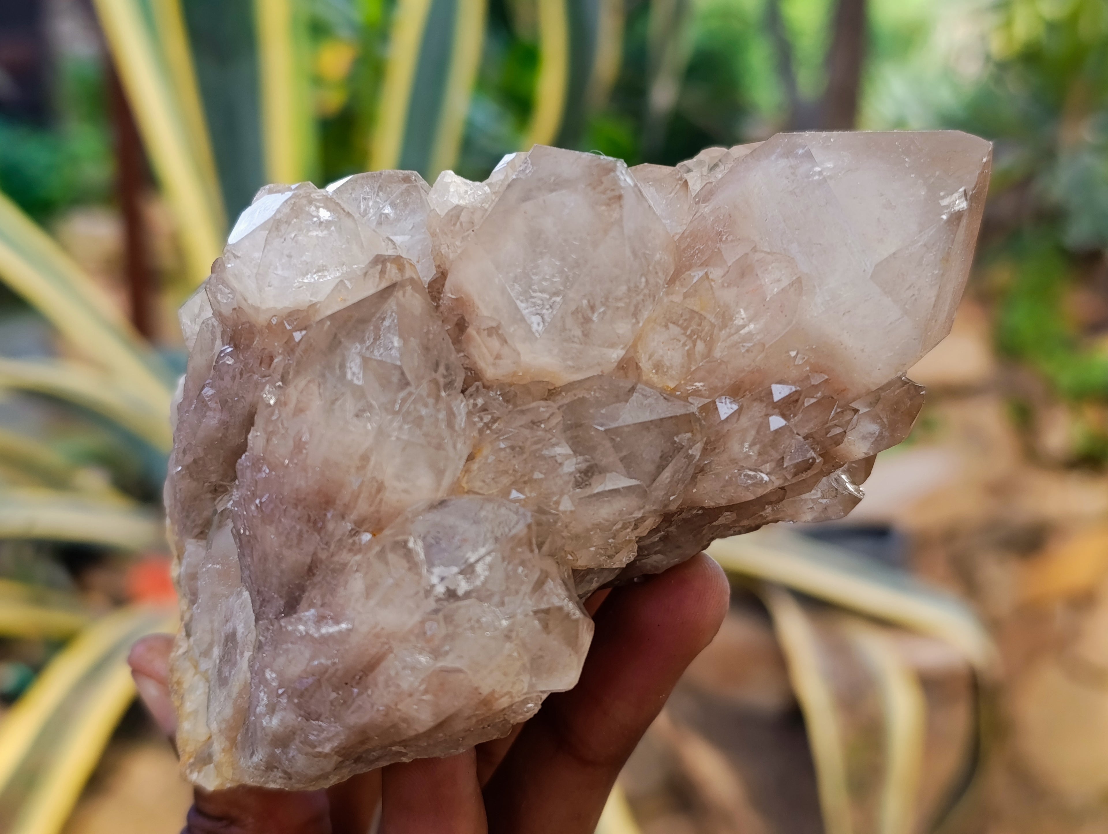 Natural Phantom Smokey Quartz Clusters x 4 From Luena, Congo - Toprock Gemstones and Minerals 