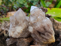 Natural Phantom Smokey Quartz Clusters x 4 From Luena, Congo