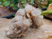 Natural Phantom Smokey Quartz Clusters x 4 From Luena, Congo