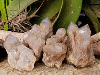 Natural Phantom Smokey Quartz Clusters x 4 From Luena, Congo