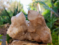 Natural Phantom Smokey Quartz Clusters x 4 From Luena, Congo