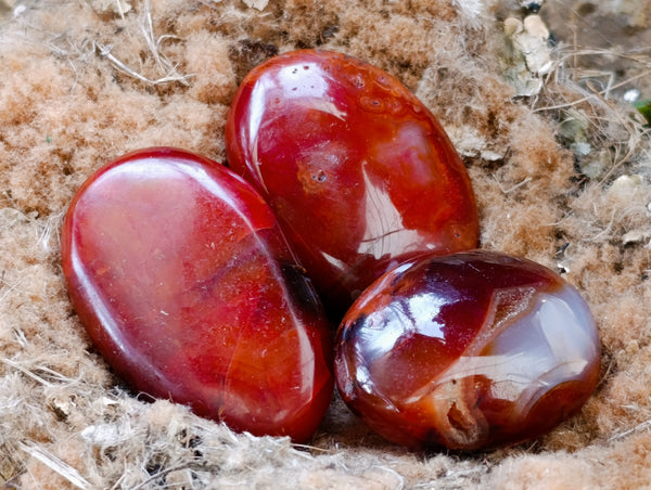 Polished Carnelian Palm Stones x 35 From Madagascar
