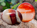 Polished Carnelian Palm Stones x 35 From Madagascar - Toprock Gemstones and Minerals 